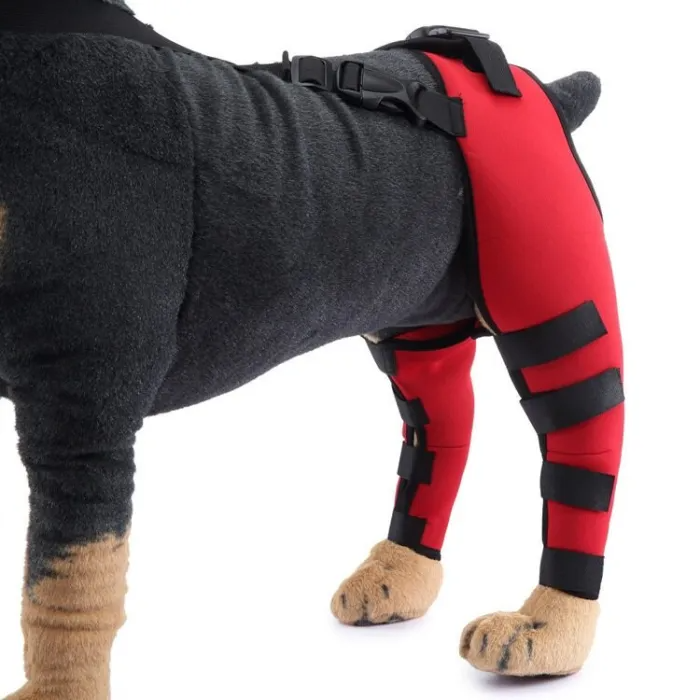 Double Dog Hip Support For Hip Dysplasia For Front or Back Leg Dog Brace