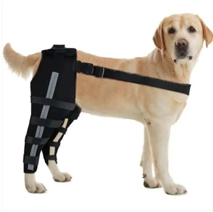 Double Dog Hip Support For Hip Dysplasia For Front or Back Leg Dog Brace