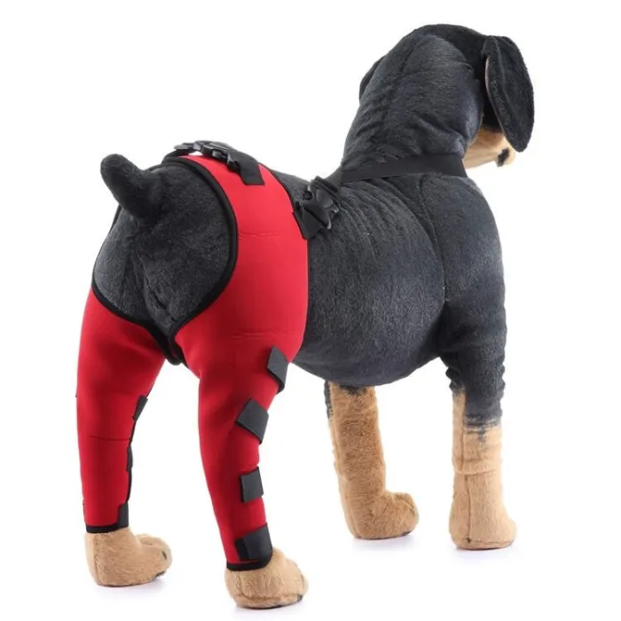Double Dog Hip Support For Hip Dysplasia For Front or Back Leg Dog Brace