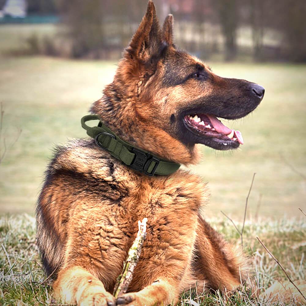 Adjustable Nylon Wear-Resistant Tactical Pet Collar