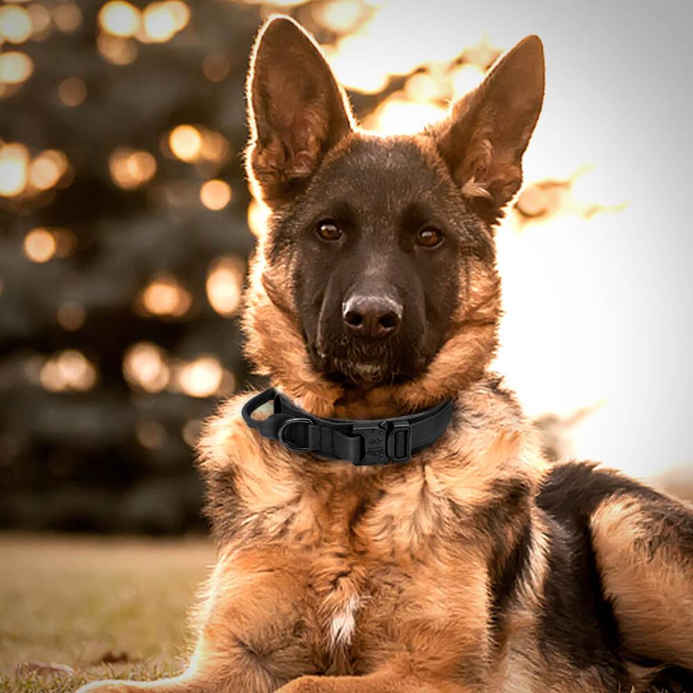Adjustable Nylon Wear-Resistant Tactical Pet Collar