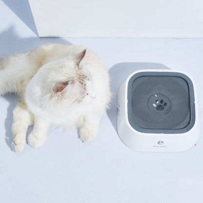 Non-Spill Dog Water Bowl Slow Feeder Dog Bowl