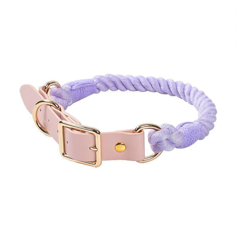 Handwoven Leather Fashion No Pull Dog Collar And Lead