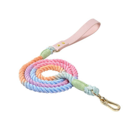 Handwoven Leather Fashion No Pull Dog Collar And Lead