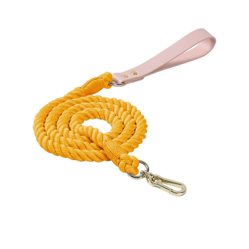 Handwoven Leather Fashion No Pull Dog Collar And Lead