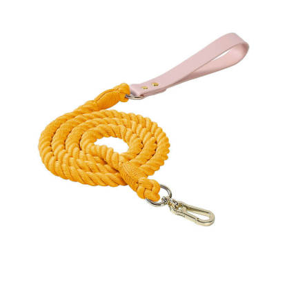 Handwoven Leather Fashion No Pull Dog Collar And Lead