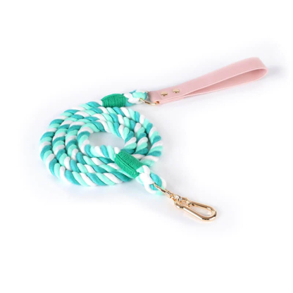 Handwoven Leather Fashion No Pull Dog Collar And Lead