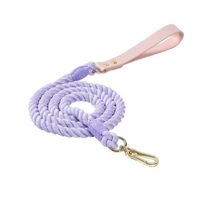 Handwoven Leather Fashion No Pull Dog Collar And Lead