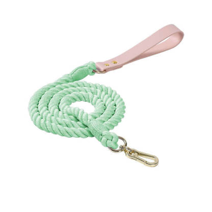 Handwoven Leather Fashion No Pull Dog Collar And Lead