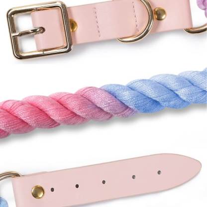 Handwoven Leather Fashion No Pull Dog Collar And Lead