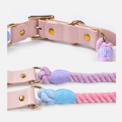 Handwoven Leather Fashion No Pull Dog Collar And Lead