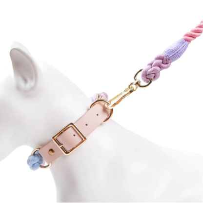 Handwoven Leather Fashion No Pull Dog Collar And Lead