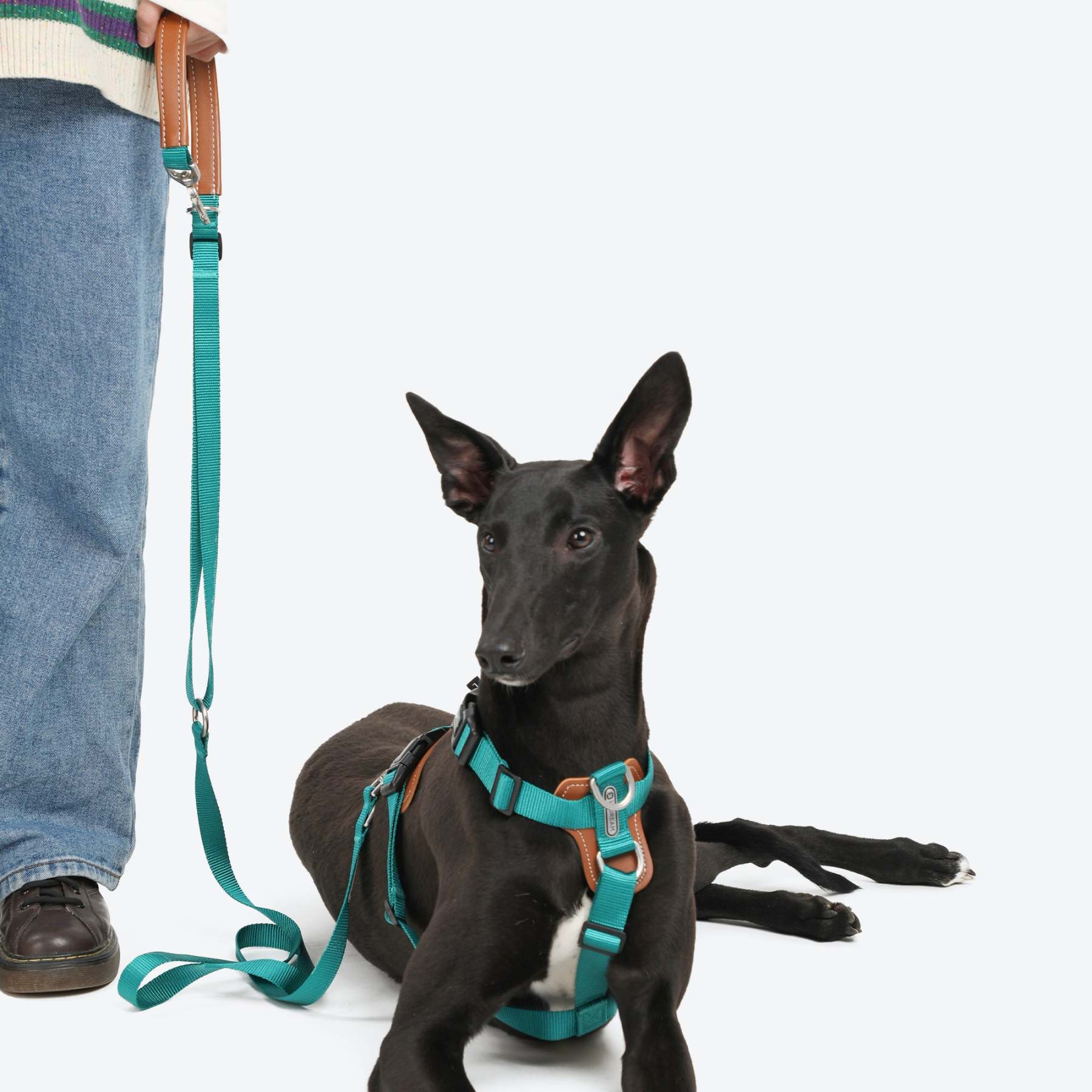 HiDream | Easy Walk Dog Harness
