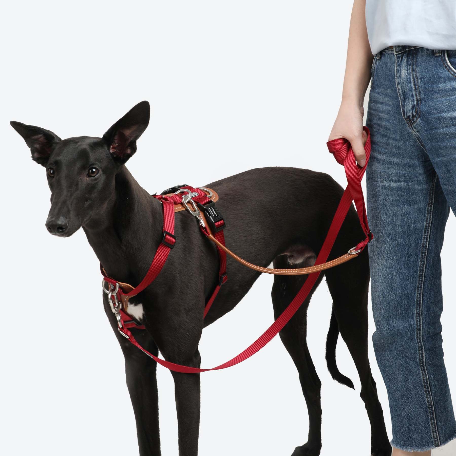 HiDream | Easy Walk Dog Harness