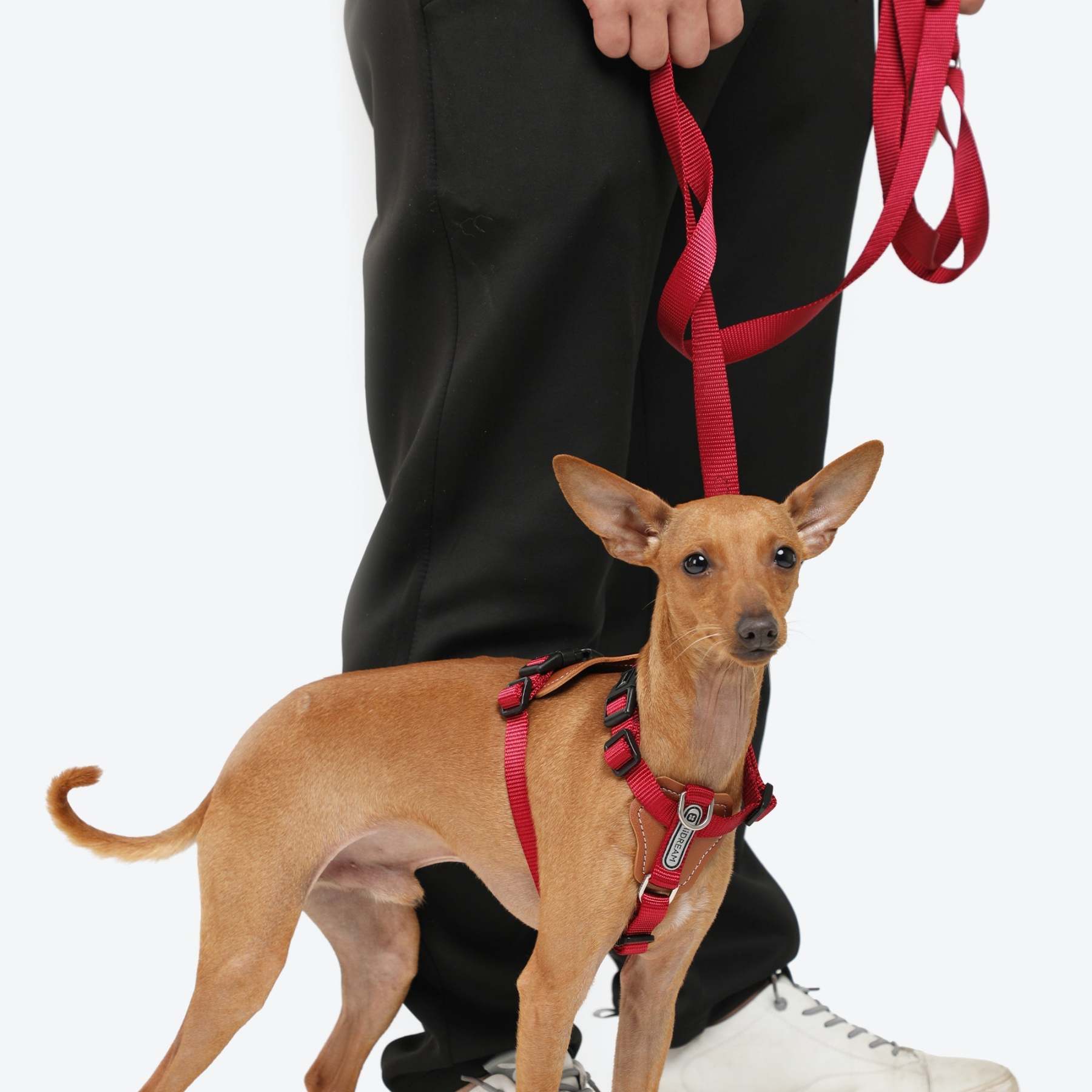 HiDream | Easy Walk Dog Harness