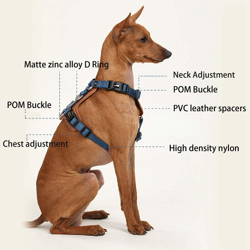 HiDream | Easy Walk Dog Harness