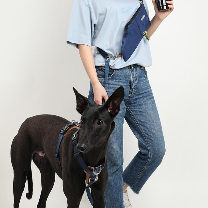 HiDream | Easy Walk Dog Harness