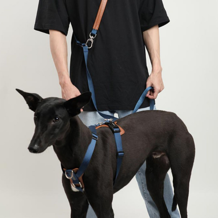 HiDream | Easy Walk Dog Harness