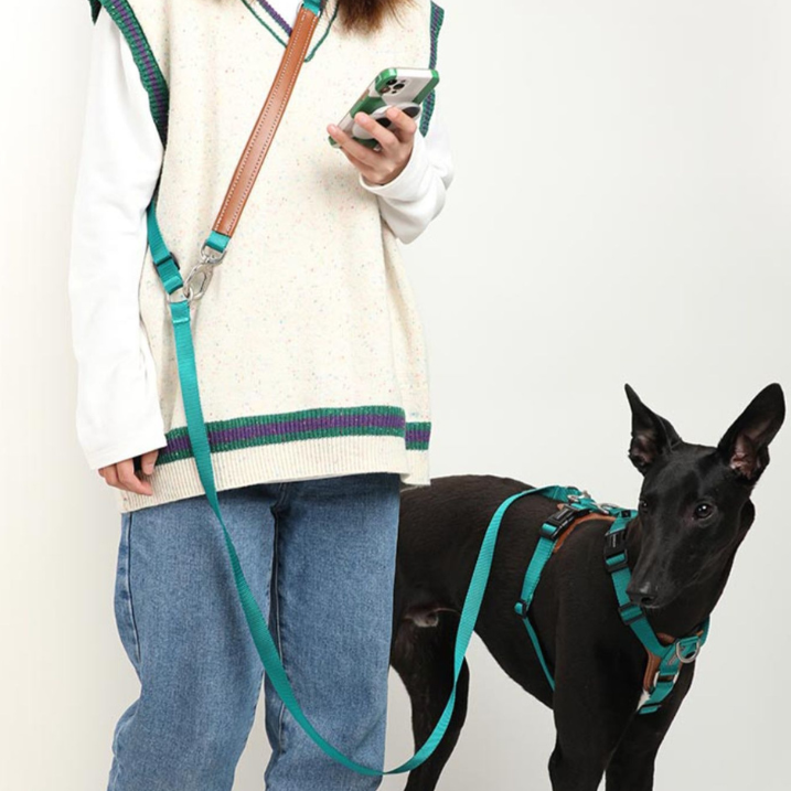 HiDream | Easy Walk Dog Harness