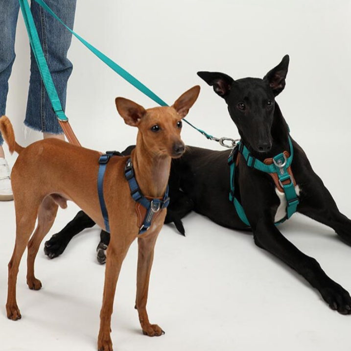 HiDream | Easy Walk Dog Harness