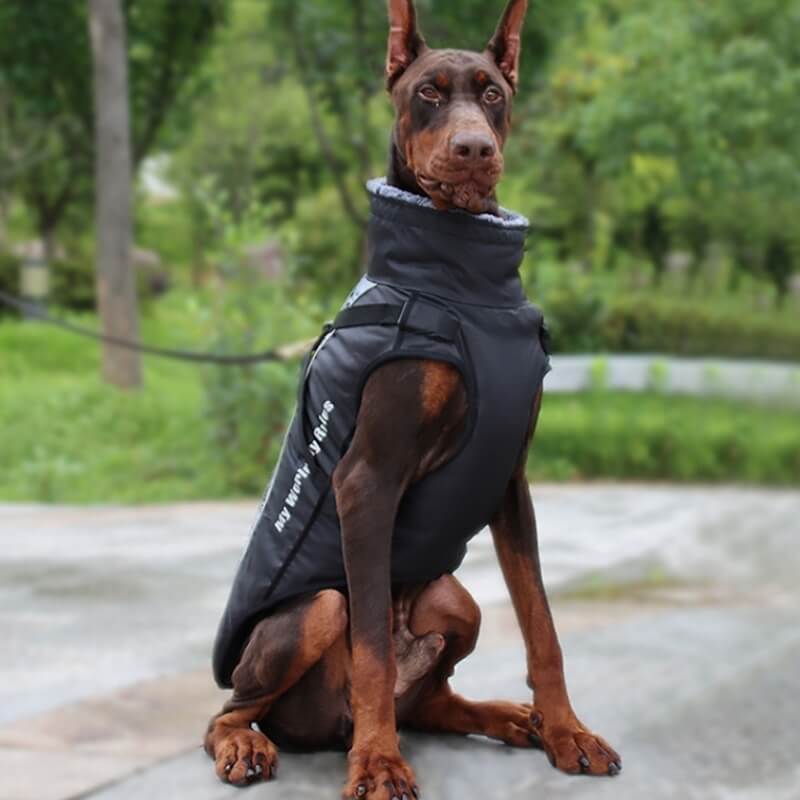 High Collar Warm Dog Jacket Thickened Dog Cotton Coat