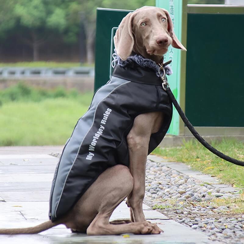 High Collar Warm Dog Jacket Thickened Dog Cotton Coat