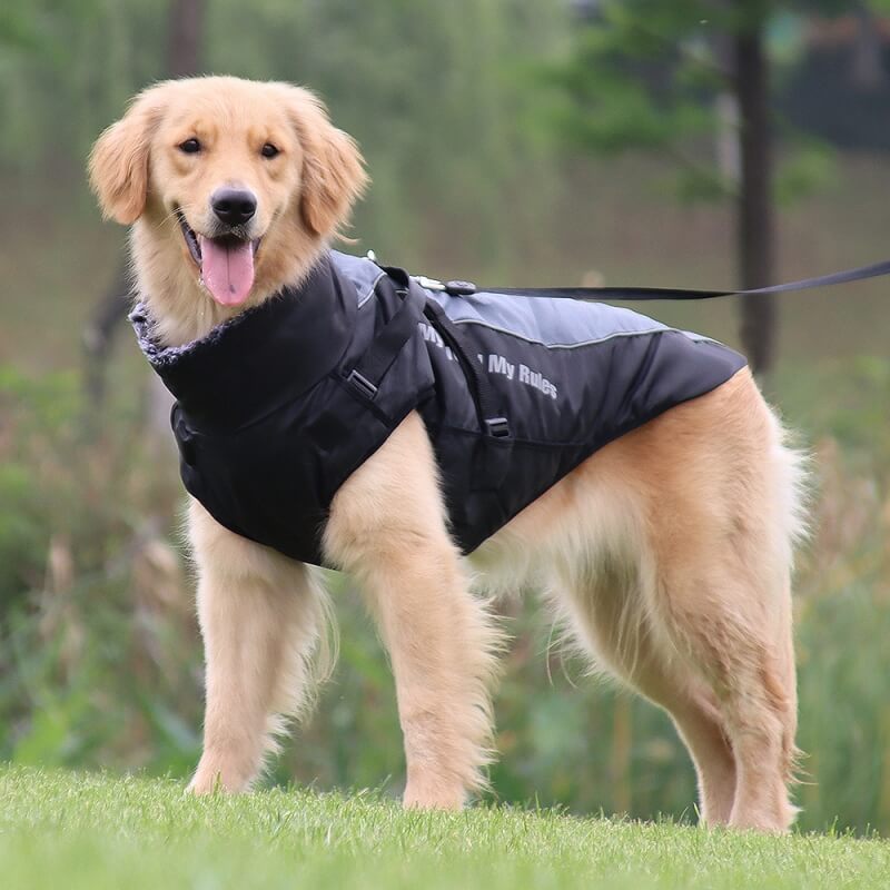 High Collar Warm Dog Jacket Thickened Dog Cotton Coat