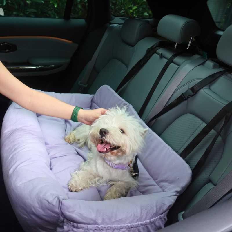 Luxury Large Memory Foam Dog Car Bed
