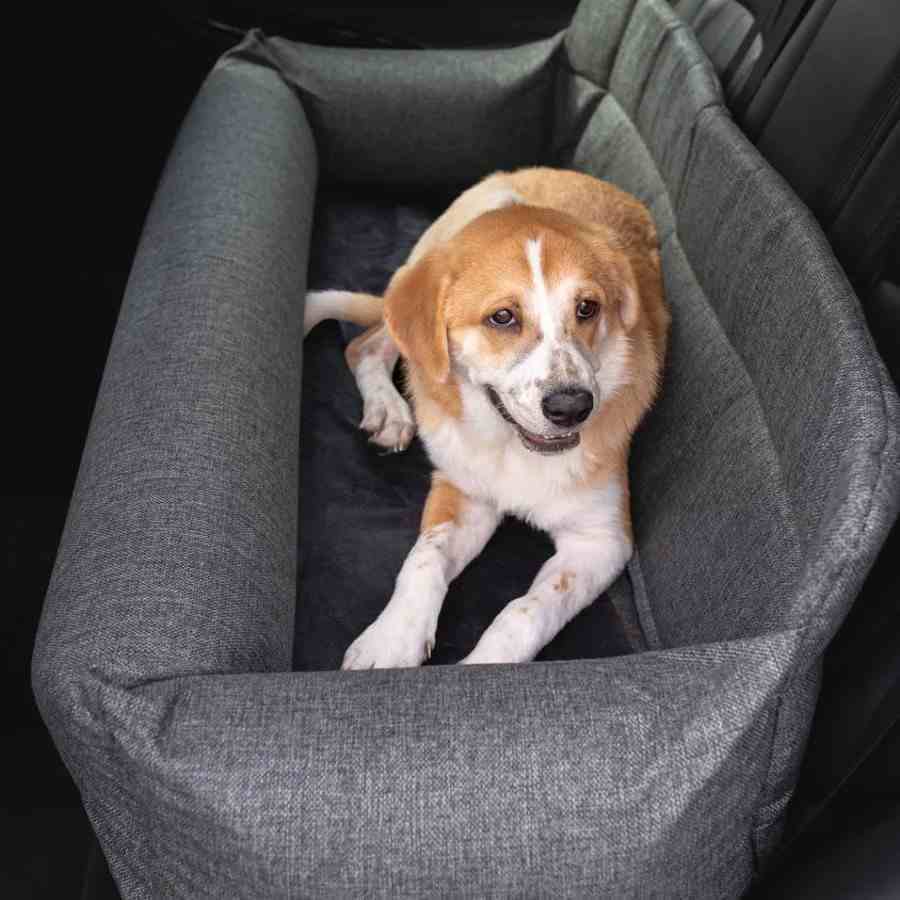 Luxury Large Memory Foam Dog Car Bed