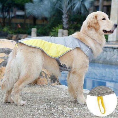 Summer Cooling Dog Jacket / Vest
