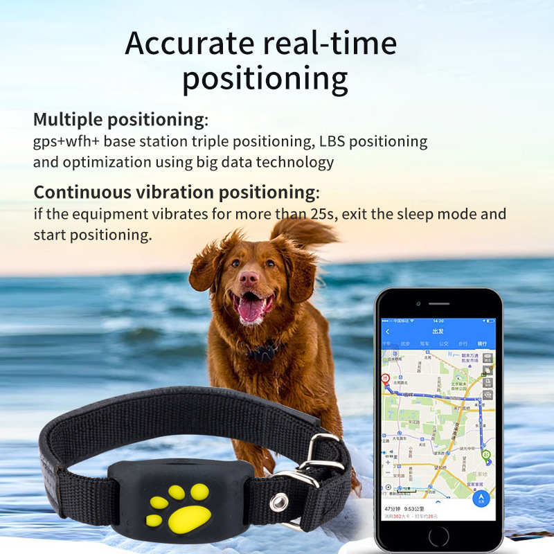 Real-Time Dog Cat GPS Tracker Collar