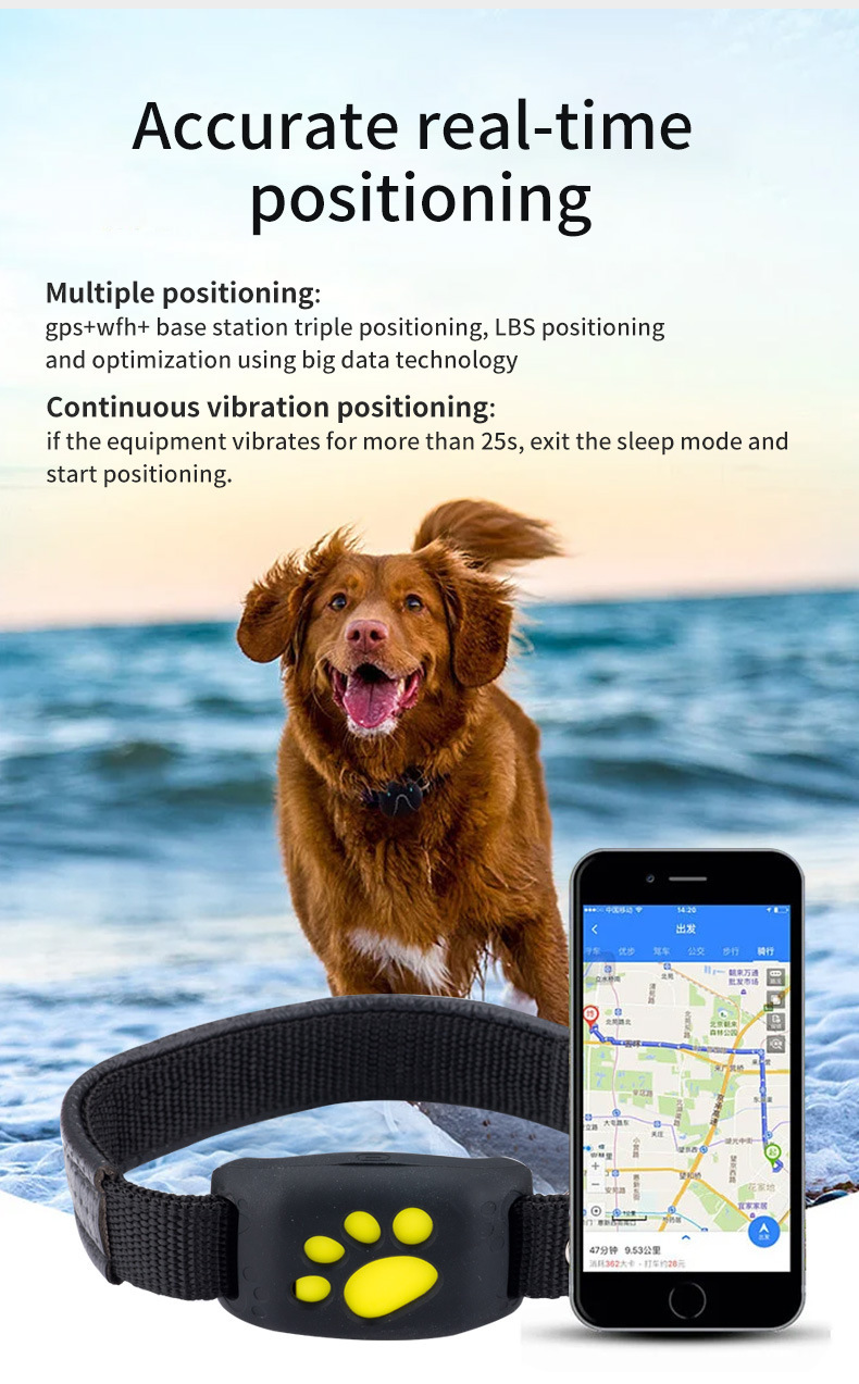 Real-Time Dog Cat GPS Tracker Collar
