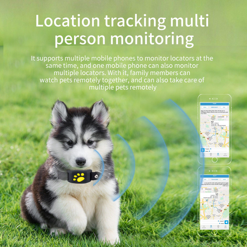 Real-Time Dog Cat GPS Tracker Collar