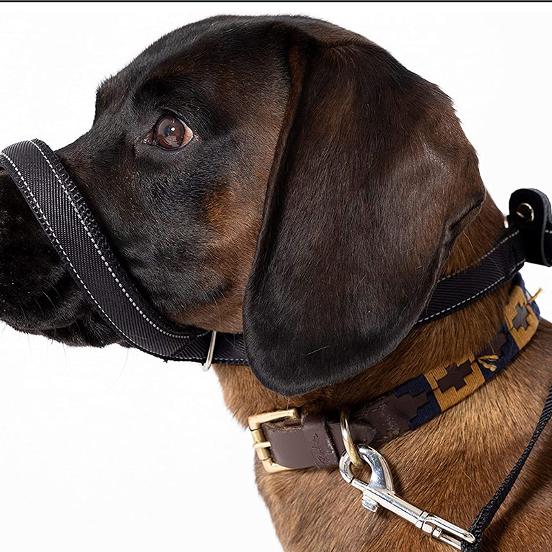 Anti Pull Lead Figure 8 Head Collar for Stop Pulling & Take Back Control