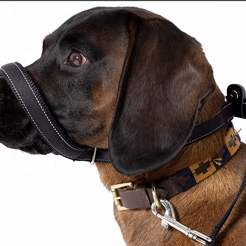 Anti Pull Lead Figure 8 Head Collar for Stop Pulling & Take Back Control