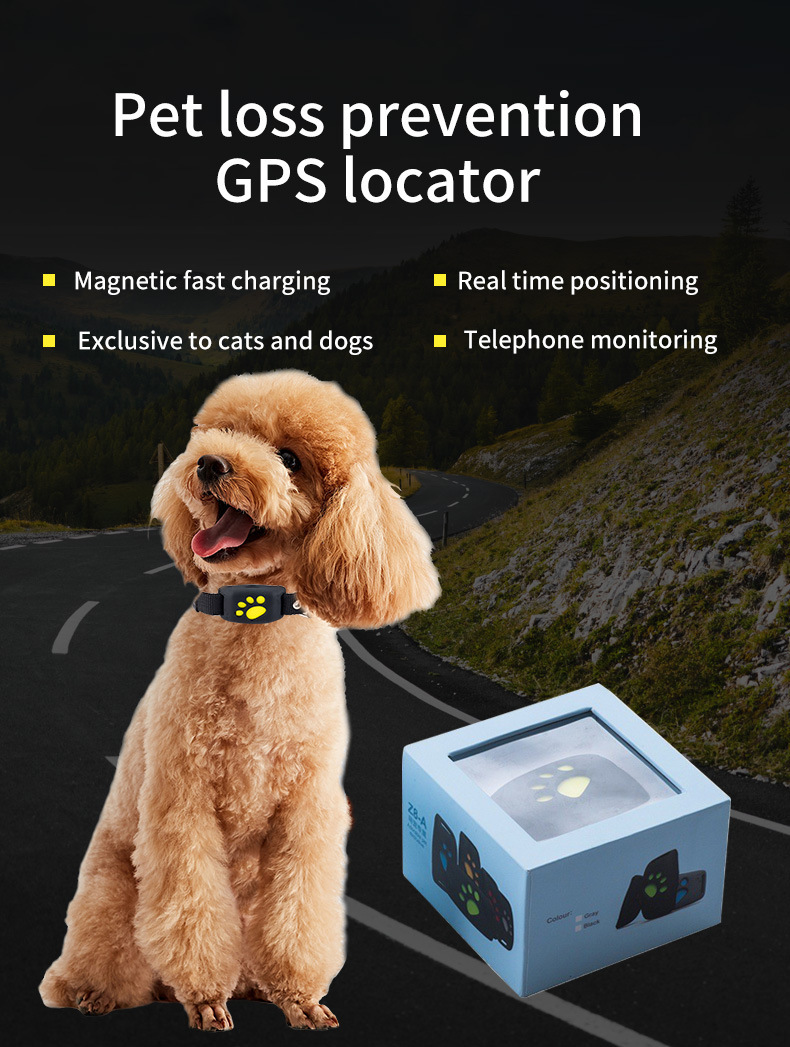 Real-Time Dog Cat GPS Tracker Collar