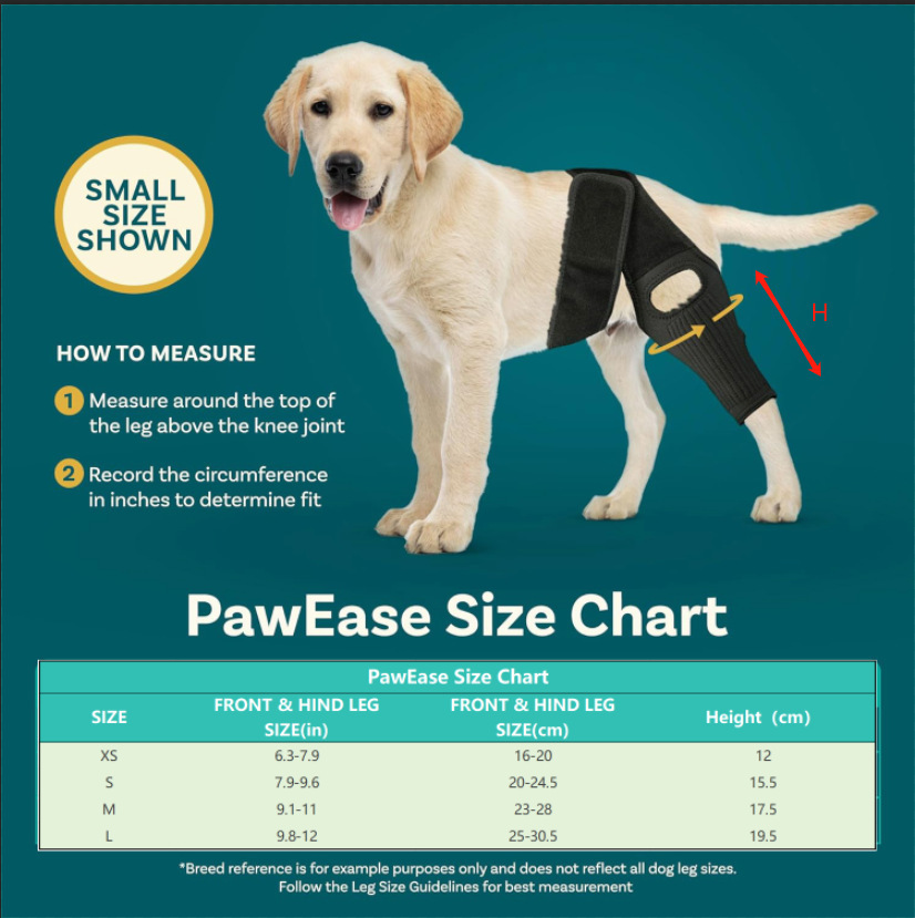 Dog Hip Knee Brace for Torn ACL