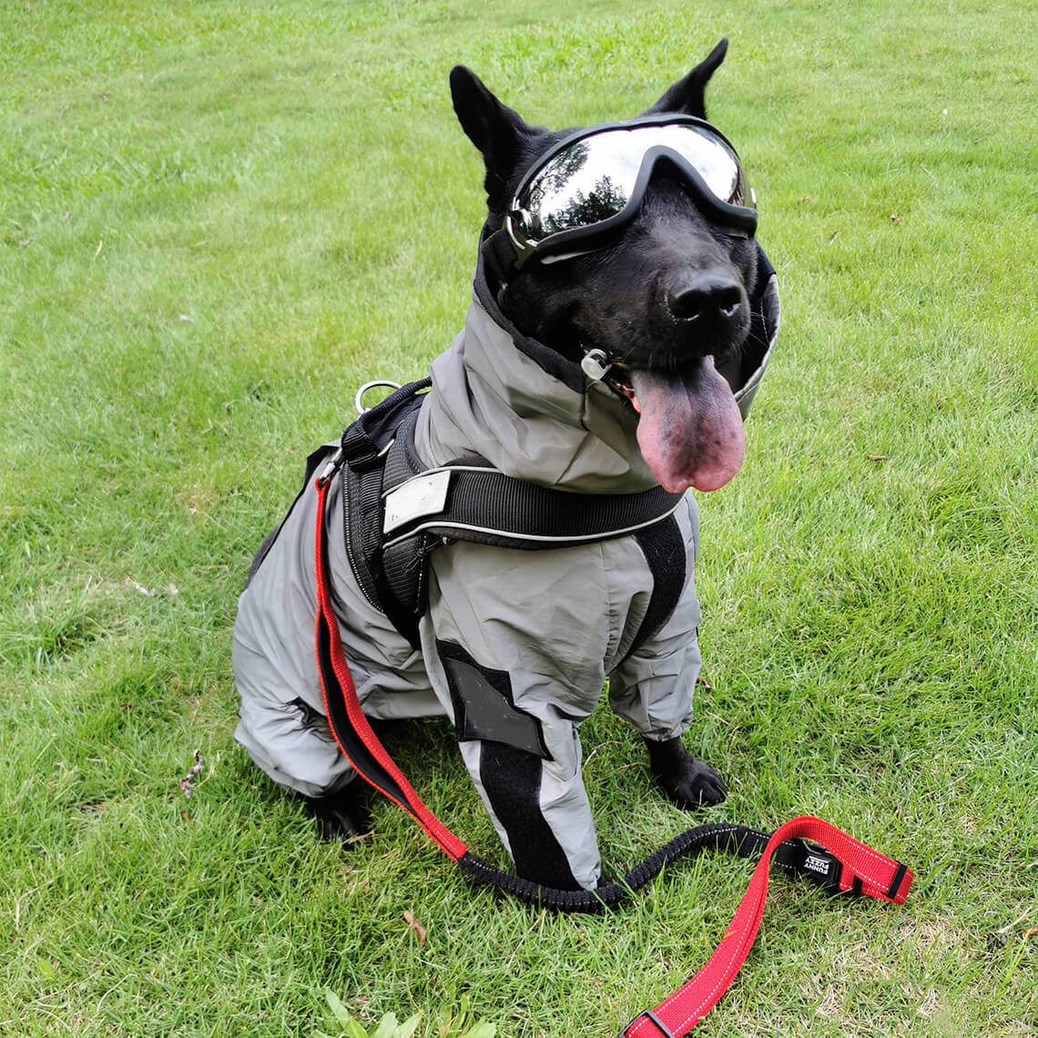 Reflective All-weather Waterproof Space Coat Dog Rain Coat