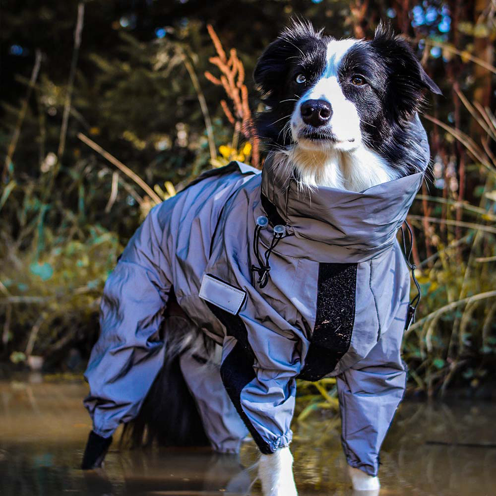 Reflective All-weather Waterproof Space Coat Dog Rain Coat