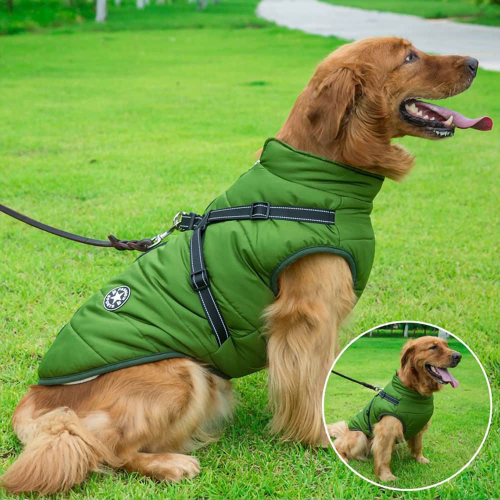 Dog Winter Jacket Coat With Harness