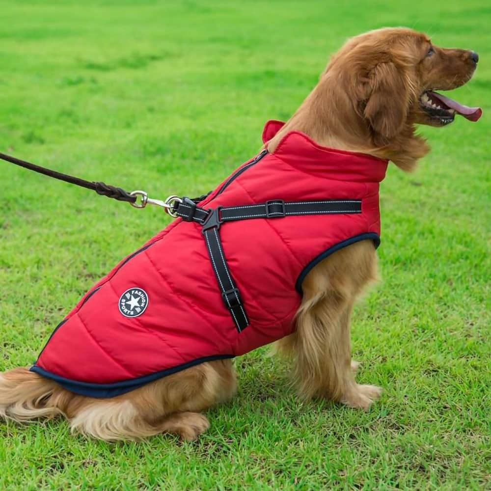 Dog Winter Jacket Coat With Harness