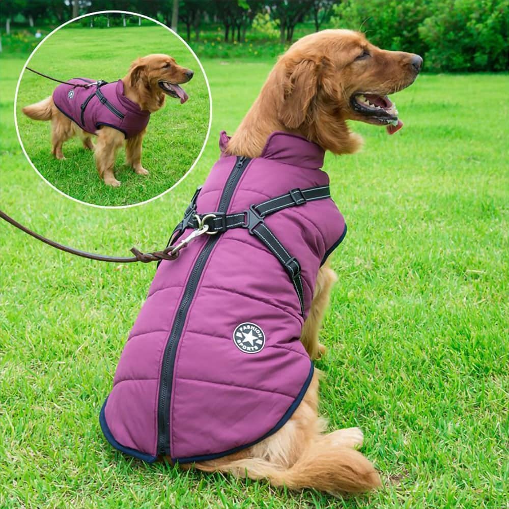 Dog Winter Jacket Coat With Harness