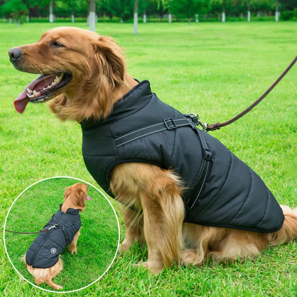 Dog Winter Jacket Coat With Harness