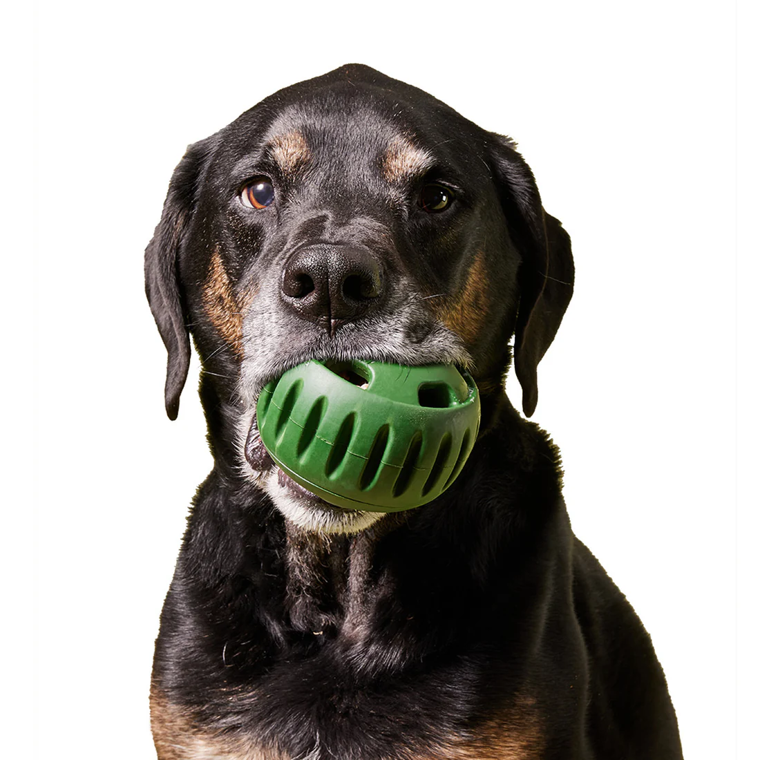 Dog Treat Toy Ball Dispenser