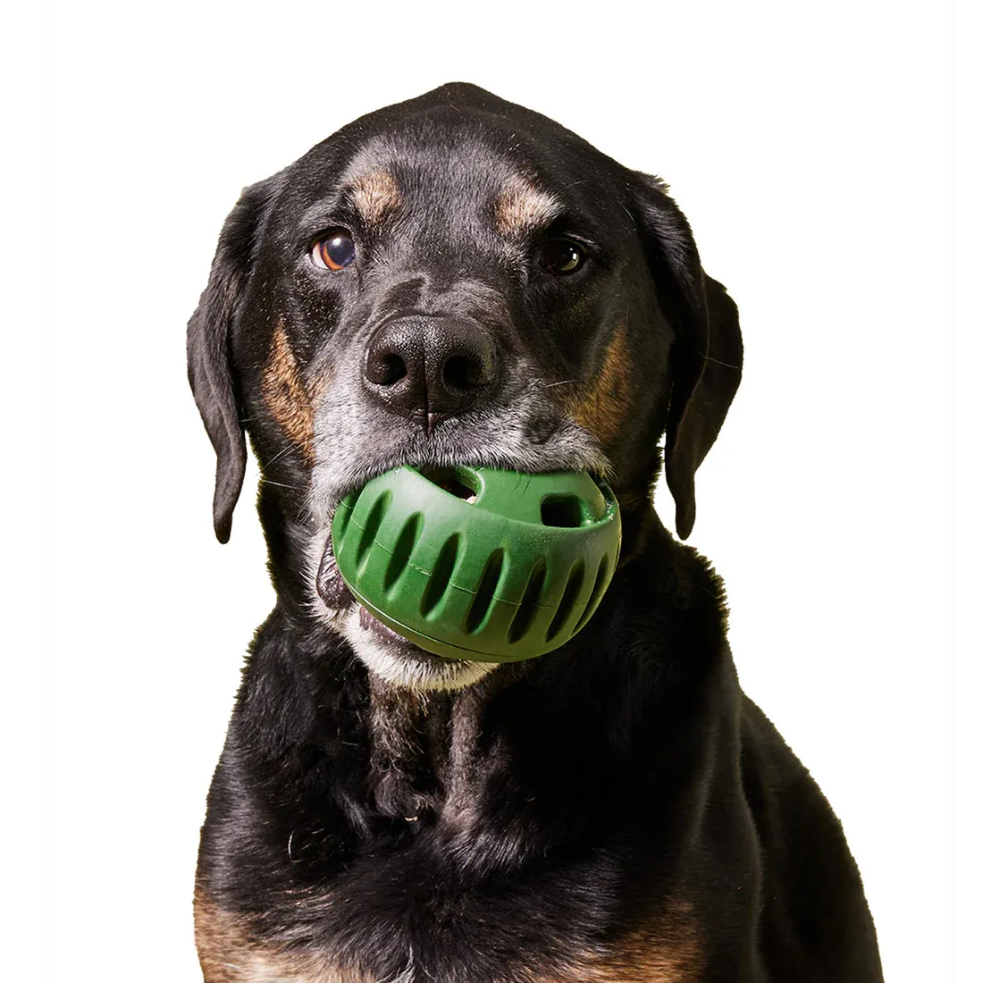 Dog Treat Toy Ball Dispenser