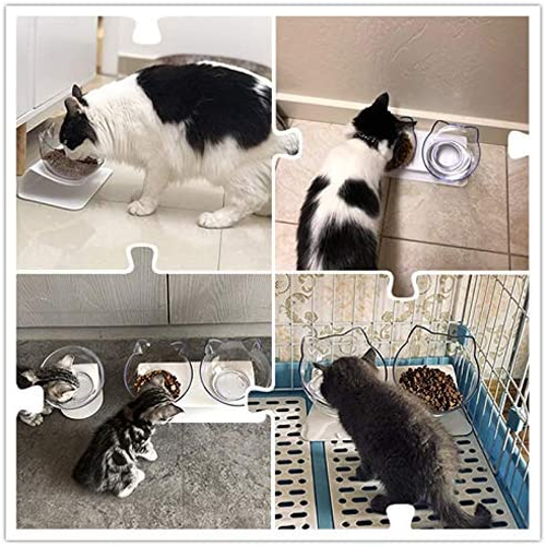 Orthopedic Cat Bowl-gladdween