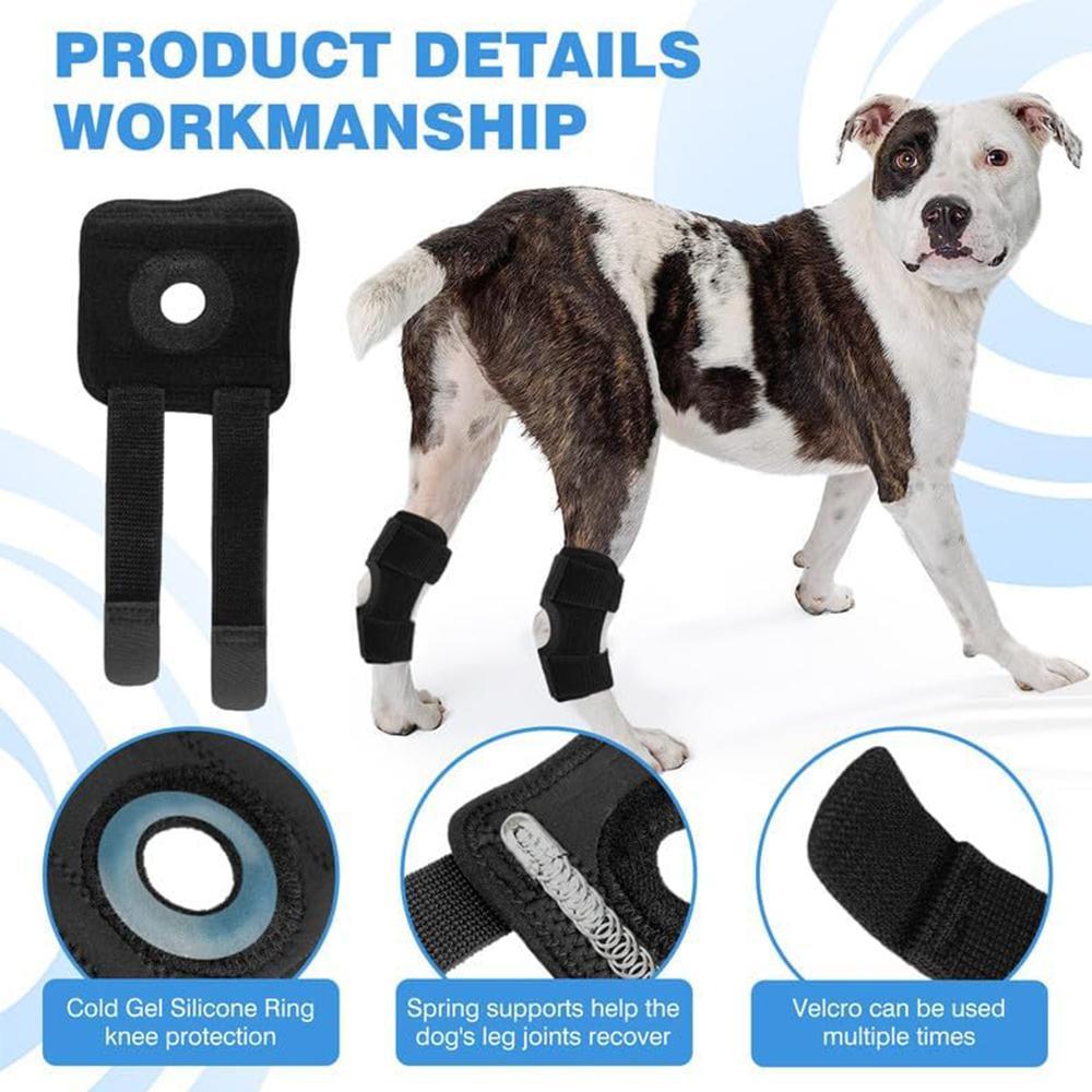 Dog Knee Brace Suitable for Recovery of Loss of Stability Caused by Arthritis