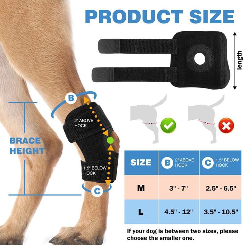 Dog Knee Brace Suitable for Recovery of Loss of Stability Caused by Arthritis