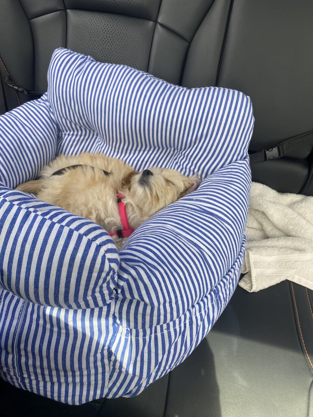 Portable Leisure Outing Pet Booster Dog Car Seat Bed