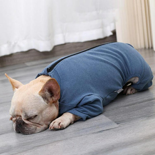 Post-Surgery Care for Dogs: Professional Shirt to Protect Abdominal Wounds  Prevent Licking-gladdween